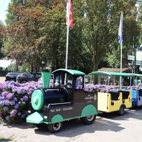 Recreatiepark Duinhoeve - Camping Tilburg - Afbeelding N°4