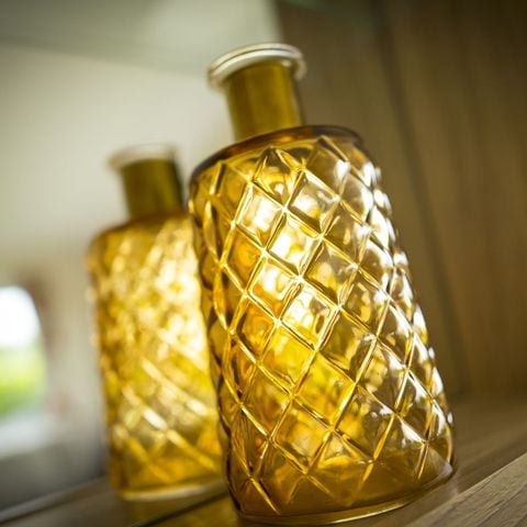 Lodge 5 personen - Vlinder