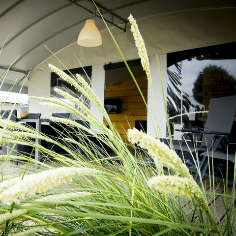 Tent 6 persons - Tent villa