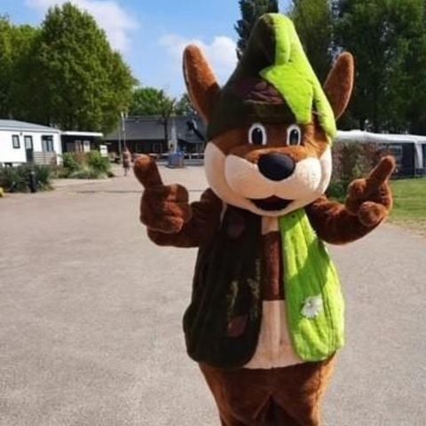 Recreatiepark Duinhoeve - Camping Tilburg - Afbeelding N°3