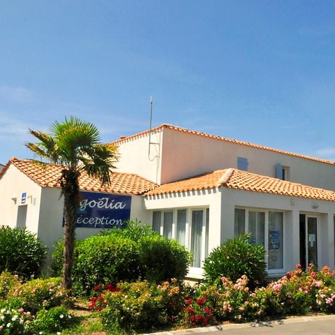 Résidence Goélia La Palmeraie - Camping Charente-Maritime - Image N°3