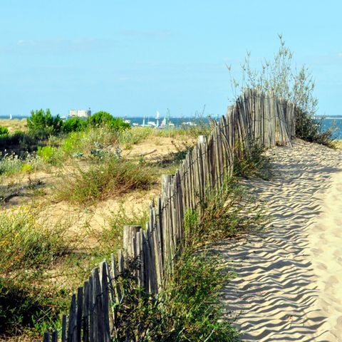 Résidence Goélia La Palmeraie - Camping Charente-Maritime - Image N°2