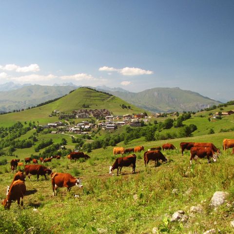 Résidence Goélia Le Relais des Pistes - Camping Savoie - Afbeelding N°3
