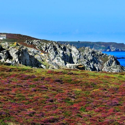 Résidence Goélia - An Douar - Camping Finistère - Afbeelding N°5