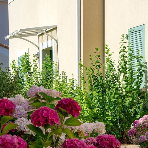 Apartement 4 Personen - G/100_2 ZIMMER 4 PERSONEN