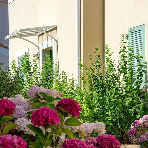 APPARTEMENT 6 personen - G/100_3 STUKS 6 PERSONEN