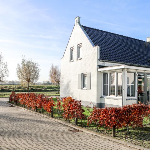 FERIENHAUS 8 Personen - Wolphaartsdijk - 9