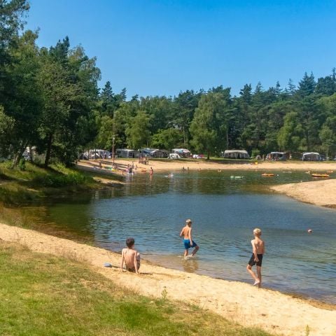 Siblu de Tol - Camping Nunspeet - Image N°3