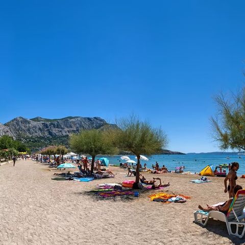 Camping Almissa - Camping Split-Dalmatien - Image N°5