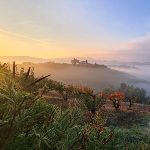 Vodatent Agricola la Casetta - Camping Ascoli Piceno - Afbeelding N°6