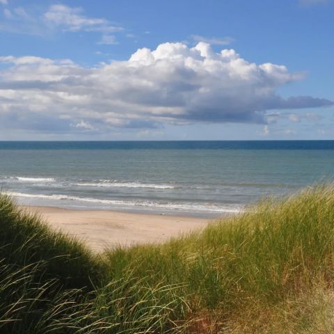 Vodatent Tornby Strand Camping - Camping Noord-Jutland - Afbeelding N°3