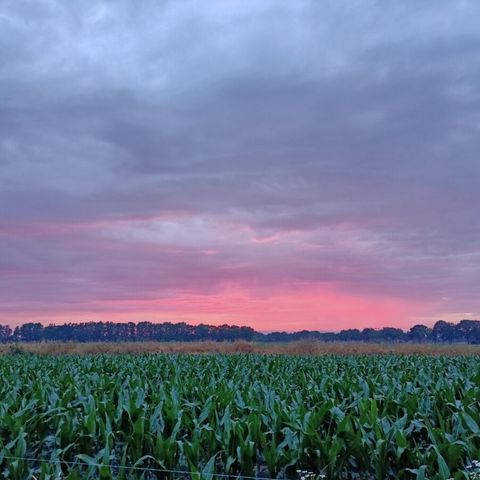 Vodatent Boerderijcamping het Katreel - Camping Haaksbergen - Afbeelding N°6