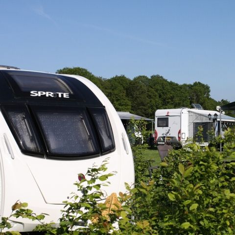 Vodatent Boerderijcamping het Katreel - Camping Haaksbergen - Afbeelding N°3