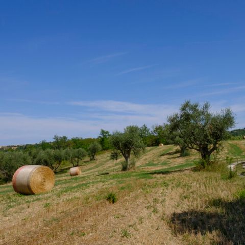 Vodatent Camping Mar y Sierra - Camping Pesaro-Urbino - Afbeelding N°3