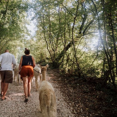Vodatent Camping Sensazione - Camping Ancona - Afbeelding N°2