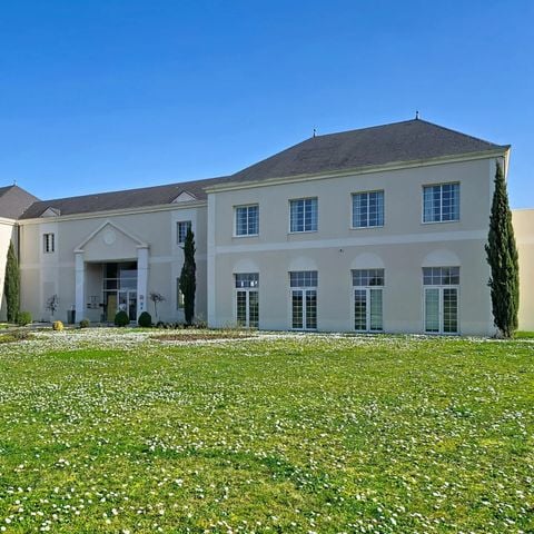 Terres de France - Domaine du Val d'Amboise - Camping Indre-et-Loire - Image N°3