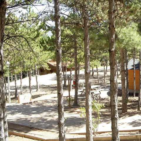 Chalet 4 persons - Family Cabin
