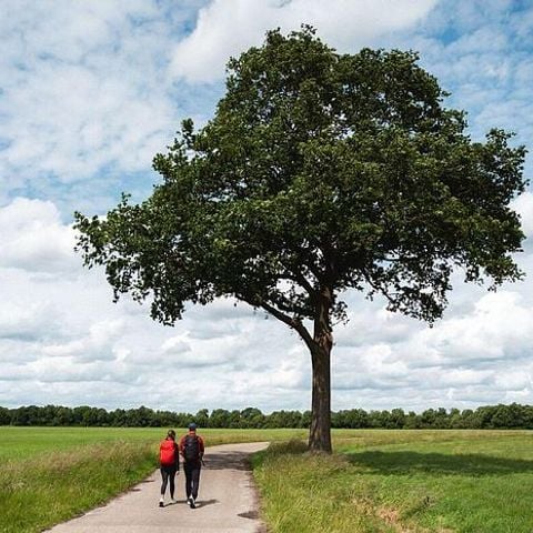 Landgoed de Huynen - Camping Aa en Hunze - Image N°5