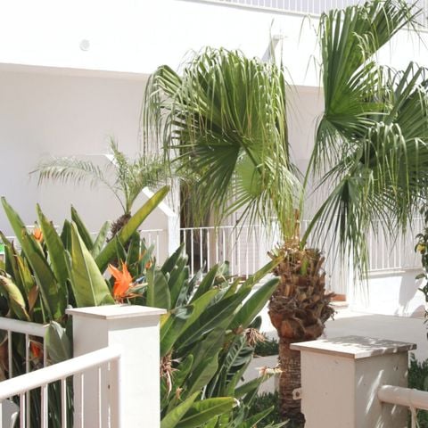 APARTEMENTO 6 personas - Estándar - 2 habitaciones