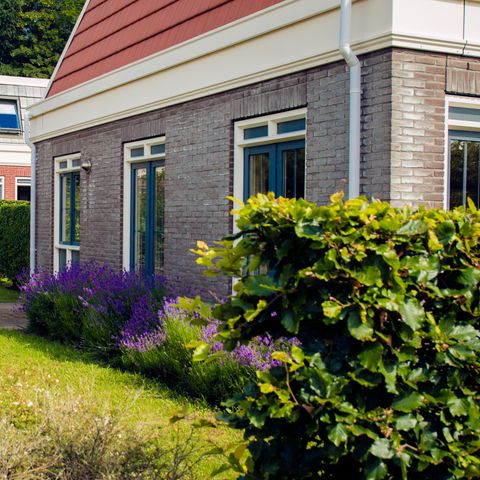 Bungalowparck Tulp & Zee - Camping Noordwijk - Image N°2