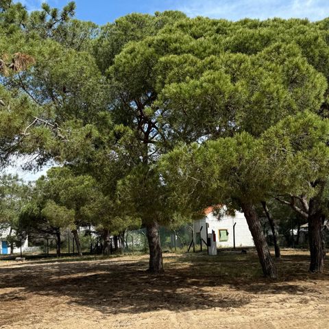 Kampeerplaats - FREE CAMPING ATÉ 8m²