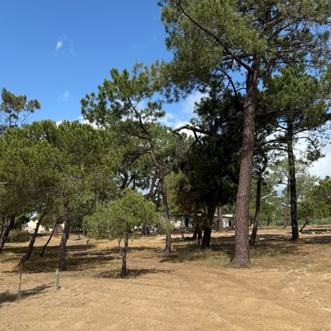 Kampeerplaats - FREE CAMPING ATÉ 8m²