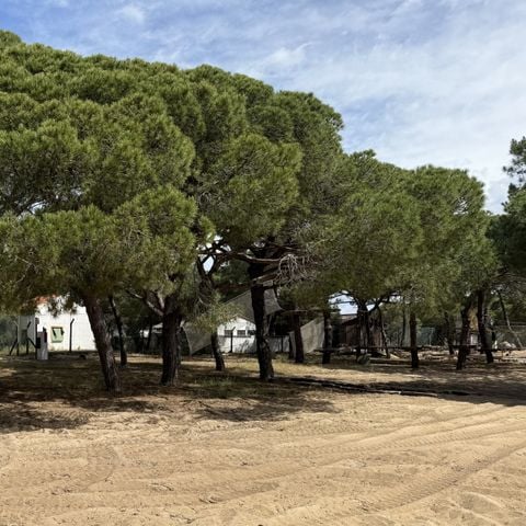 EMPLACEMENT - CAMPING GRATUIT ATÉ 8m²