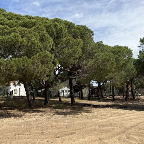 Kampeerplaats - FREE CAMPING ATÉ 8m²