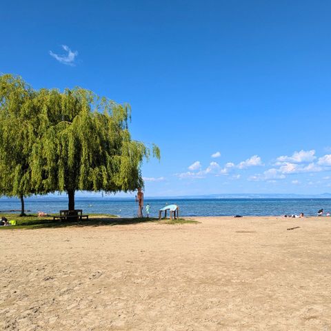 Camping Le Léman Plage - Camping Haute-Savoie - Image N°2