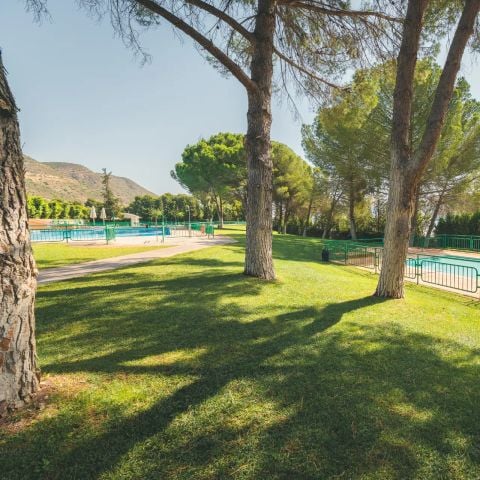 HolaCamp Mequinenza - Camping Saragosse - Image N°5
