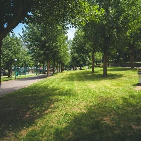 PIAZZOLA - Piazzola XL
