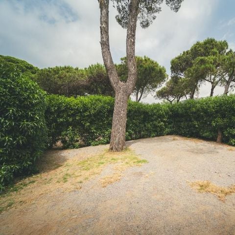 PARCELA - Parcela M