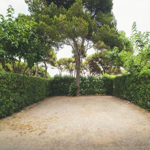 PIAZZOLA - Piazzola XL