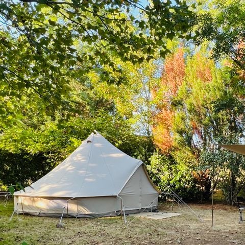 Pitch - TENT, CARAVAN AND MOTORHOME PITCHES