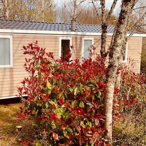Stacaravan 4 personen - Premium Loggia-stacaravan, 32 m², 2 slaapkamers – Aankomst op zaterdag in juli en augustus