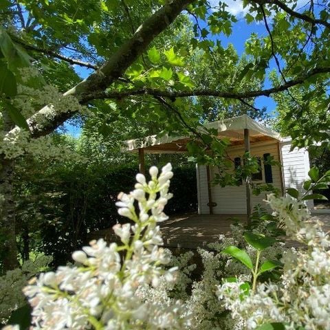 MOBILHOME 5 personnes - Mobil-home Grand Confort Lilas 28m² 2 chambres - Arrivée le Dimanche en Juillet et Août
