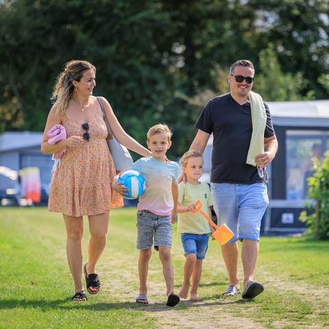 Camping Ginsterveld - Camping Schouwen-Duiveland - Image N°5