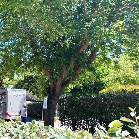Camping Tikayan Beauséjour - Camping Var - Image N°5