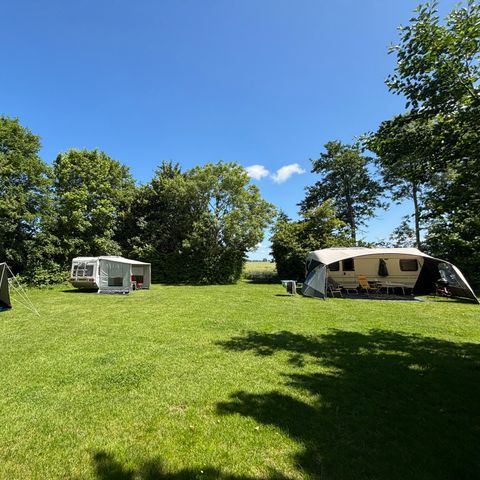 Pitch - Camping pitch