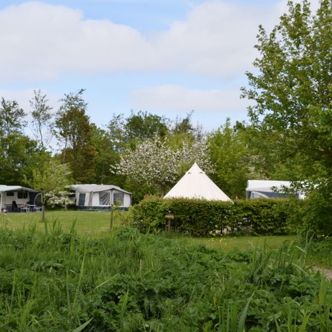 Kampeerplaats - Kampeerplaats