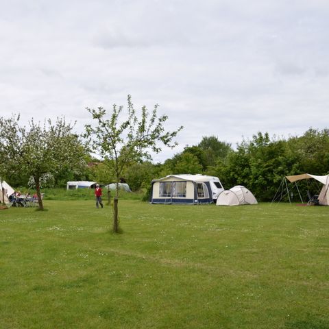 Pitch - Camping pitch