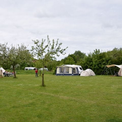 Stellplatz - Campingstellplatz