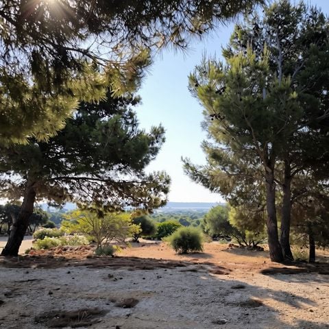 EMPLACEMENT - Emplacement nu