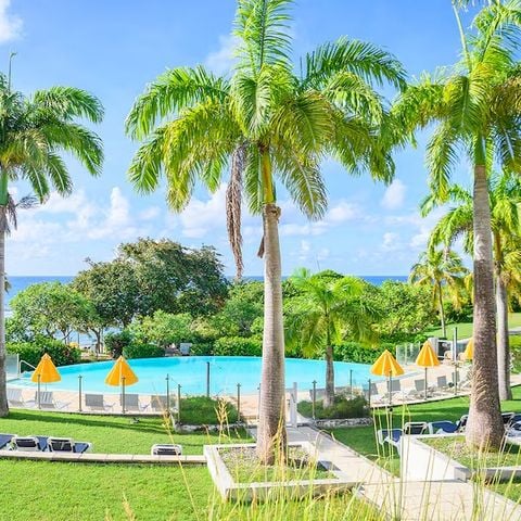 Pierre & Vacances Village Sainte-Anne Guadeloupe - Camping Guadeloupe - Image N°4