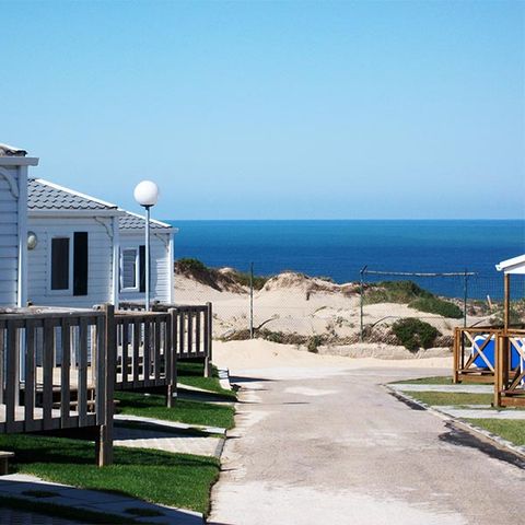 Camping Guincho - Camping Région de Lisbonne - Image N°5