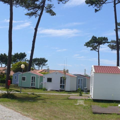 Mobile home 5 persons - HAWAI - without sanitary facilities & kitchen