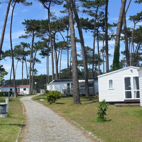 Mobile home 5 persons - HAWAI - without sanitary facilities & kitchen