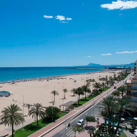 Camping L'Alqueria - Camping Valence - Image N°2