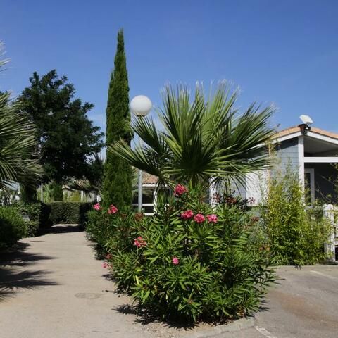 Camping Le Hameau des Cannisses Camping Le Hameau des Cannisses - Camping Aude - Image N°16