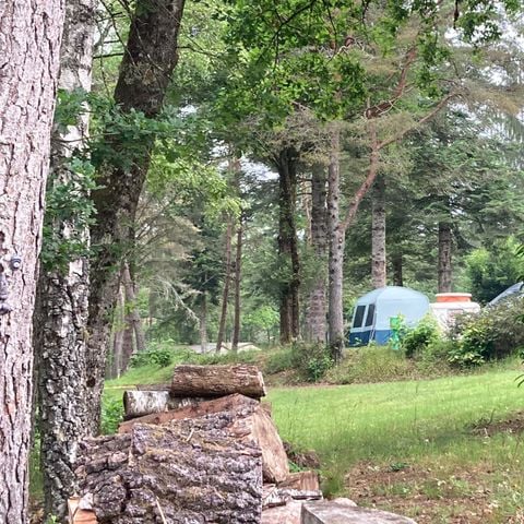 STAANPLAATS - Standplaats voor tent (+ fiets, mountainbike) en 1 persoon